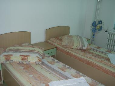 Pension in Baia Mare (Maramures) oder Ferienwohnung oder Ferienhaus