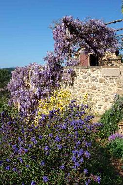 Blick auf die Terrasse
