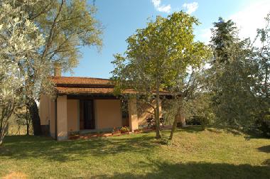 Ferienhaus in Castiglion F.no (Arezzo) oder Ferienwohnung oder Ferienhaus