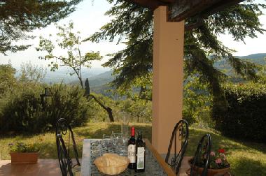 Ferienhaus in Castiglion F.no (Arezzo) oder Ferienwohnung oder Ferienhaus