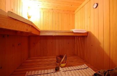 Villa in Marcana (Istarska) oder Ferienwohnung oder Ferienhaus