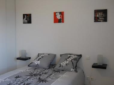 Ferienhaus in laudun (Gard) oder Ferienwohnung oder Ferienhaus