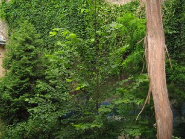 Ferienwohnung in Lviv (L