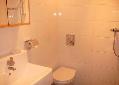 Ferienhaus in Bergen NH (Noord-Holland) oder Ferienwohnung oder Ferienhaus