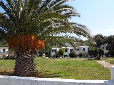 Ferienhaus in Toroni (Chalkidiki) oder Ferienwohnung oder Ferienhaus