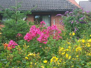 Ferienhaus in Groenwiehe (Binnenland) oder Ferienwohnung oder Ferienhaus