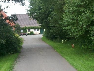 Ferienhaus in Groenwiehe (Binnenland) oder Ferienwohnung oder Ferienhaus