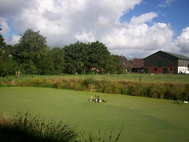 Ferienhaus in Groenwiehe (Binnenland) oder Ferienwohnung oder Ferienhaus