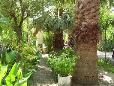 Villa in AgiosGeorgios-Lichas (Evvoia) oder Ferienwohnung oder Ferienhaus