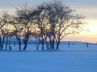 Ferienhaus in YTRAC (Cantal) oder Ferienwohnung oder Ferienhaus