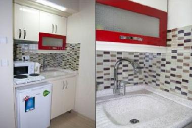 Ferienwohnung in Istanbul (Istanbul) oder Ferienwohnung oder Ferienhaus