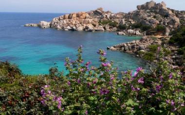 Ferienwohnung in santa teresa gallura (Olbia-Tempio) oder Ferienwohnung oder Ferienhaus