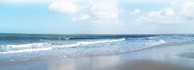 Ferienhaus in TORRE DEL LAGO PUCCINI (Lucca) oder Ferienwohnung oder Ferienhaus