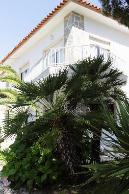 Ferienhaus in Salir do Porto (Oeste) oder Ferienwohnung oder Ferienhaus