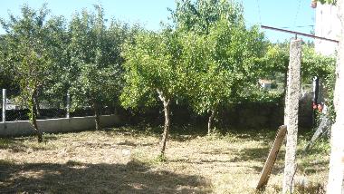 Villa in oliveira do hospital  (Serra da Estrela) oder Ferienwohnung oder Ferienhaus