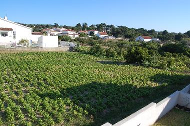 Ferienhaus in Aiana de Cima, Alfarim - Meco (Pen�nsula de Set�bal) oder Ferienwohnung oder Ferienhaus