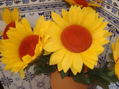 Ferienwohnung in Santa Cruz (Grande Lisboa) oder Ferienwohnung oder Ferienhaus