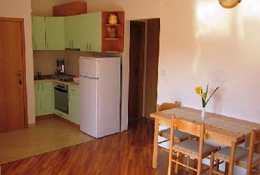 Pension in Dubrovnik (Dubrovacko-Neretvanska) oder Ferienwohnung oder Ferienhaus