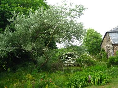 Ferienhaus in Modbury (South West) oder Ferienwohnung oder Ferienhaus