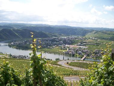 Nachbarort Piesport