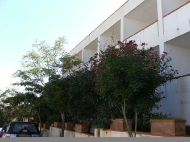 Ferienwohnung in San Vito Lo Capo (Trapani) oder Ferienwohnung oder Ferienhaus