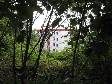 Ferienwohnung in Bischofsmais (Niederbayern) oder Ferienwohnung oder Ferienhaus