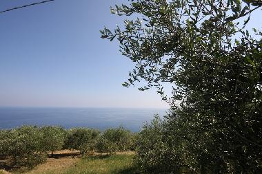 Ferienwohnung in Cipressa (IM) (Imperia) oder Ferienwohnung oder Ferienhaus