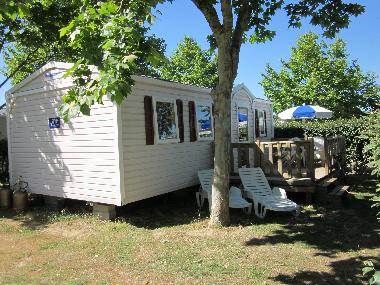 Chalet in Jard Sur Mer (Vende) oder Ferienwohnung oder Ferienhaus