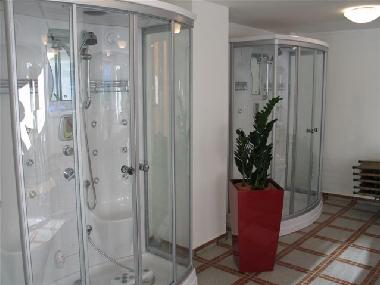 Ferienwohnung in Bad Gastein (Salzburg und Umgebung) oder Ferienwohnung oder Ferienhaus