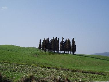 Ferienwohnung in Bagni San Filippo (Siena) oder Ferienwohnung oder Ferienhaus