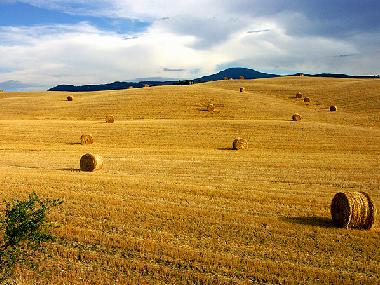 Ferienwohnung in Bagni San Filippo (Siena) oder Ferienwohnung oder Ferienhaus