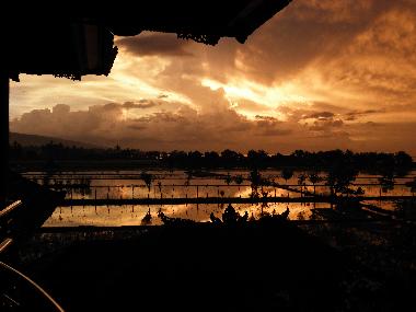 Ferienhaus in Lovina Tukadmungga (Bali) oder Ferienwohnung oder Ferienhaus