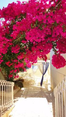 Villa in Cascais (Grande Lisboa) oder Ferienwohnung oder Ferienhaus