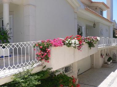 Villa in Cascais (Grande Lisboa) oder Ferienwohnung oder Ferienhaus