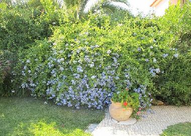 Villa in Cascais (Grande Lisboa) oder Ferienwohnung oder Ferienhaus