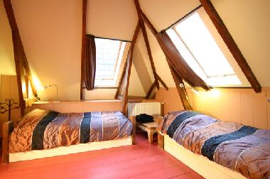 Ferienhaus in Gasselternijveen (Drenthe) oder Ferienwohnung oder Ferienhaus