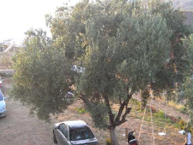 Ferienwohnung in KSAMIL (Sarande) oder Ferienwohnung oder Ferienhaus