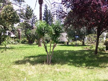 Ferienwohnung in Arroyo de la Miel (Mlaga) oder Ferienwohnung oder Ferienhaus