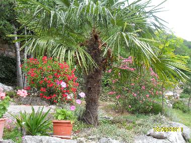 Ferienwohnung in Bribir (Primorsko-Goranska) oder Ferienwohnung oder Ferienhaus