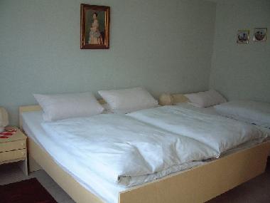 Ferienhaus in Leinatal/ OT Altenbergen (Th�ringer Wald) oder Ferienwohnung oder Ferienhaus