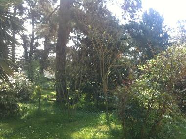 Ferienhaus in lucca (Lucca) oder Ferienwohnung oder Ferienhaus