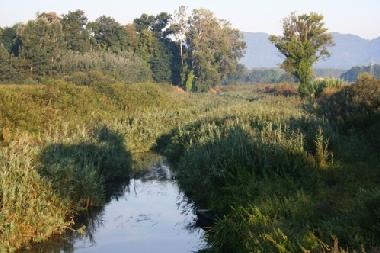 Ferienhaus in lucca (Lucca) oder Ferienwohnung oder Ferienhaus