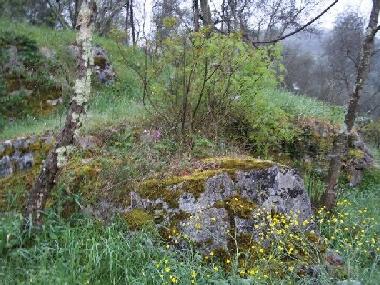 Ferienhaus in lucca (Lucca) oder Ferienwohnung oder Ferienhaus