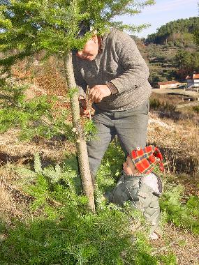 Ferienwohnung in Torredeita (Do-Lafes) oder Ferienwohnung oder Ferienhaus