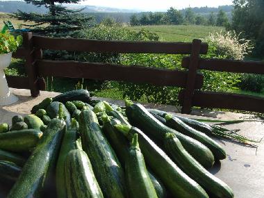 Ferienwohnung in Ostrzyce  (Pomorskie) oder Ferienwohnung oder Ferienhaus
