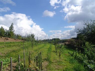 Ferienwohnung in Ostrzyce  (Pomorskie) oder Ferienwohnung oder Ferienhaus