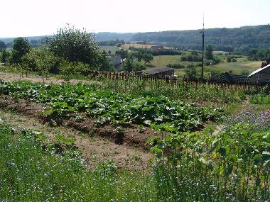Ferienwohnung in Ostrzyce  (Pomorskie) oder Ferienwohnung oder Ferienhaus