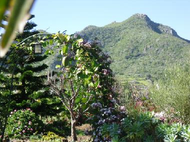 Ferienhaus in El Pico Bermejo - Tejina (Teneriffa) oder Ferienwohnung oder Ferienhaus