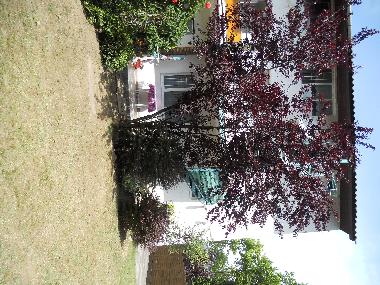 Ferienwohnung in Si�fok (Somogy) oder Ferienwohnung oder Ferienhaus
