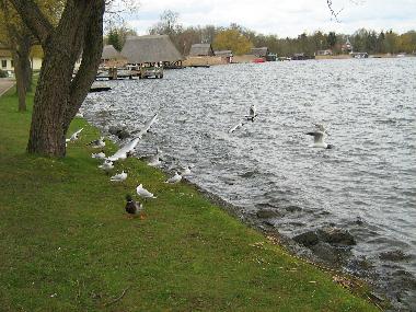 Ferienhaus in Krakow am See (Mecklenburgische Schweiz) oder Ferienwohnung oder Ferienhaus